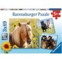 Puzzle Cai, 3X49 Piese Ravensburger - 2